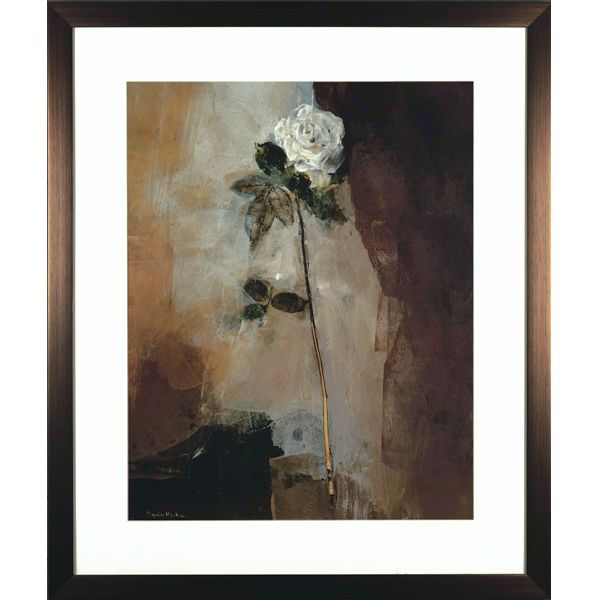 Still Life Pictures