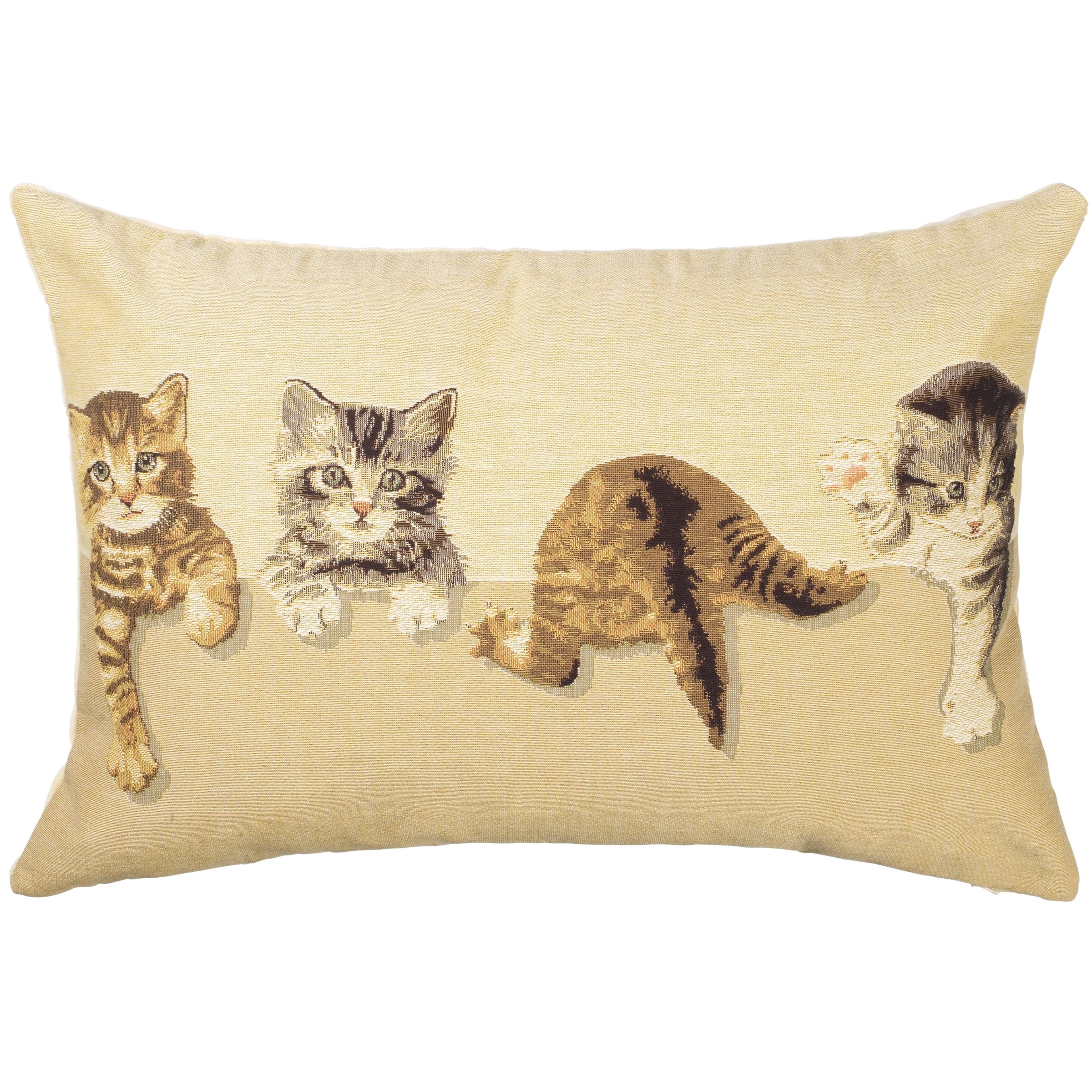 Unbranded Tabby Four Rectangular Cushion