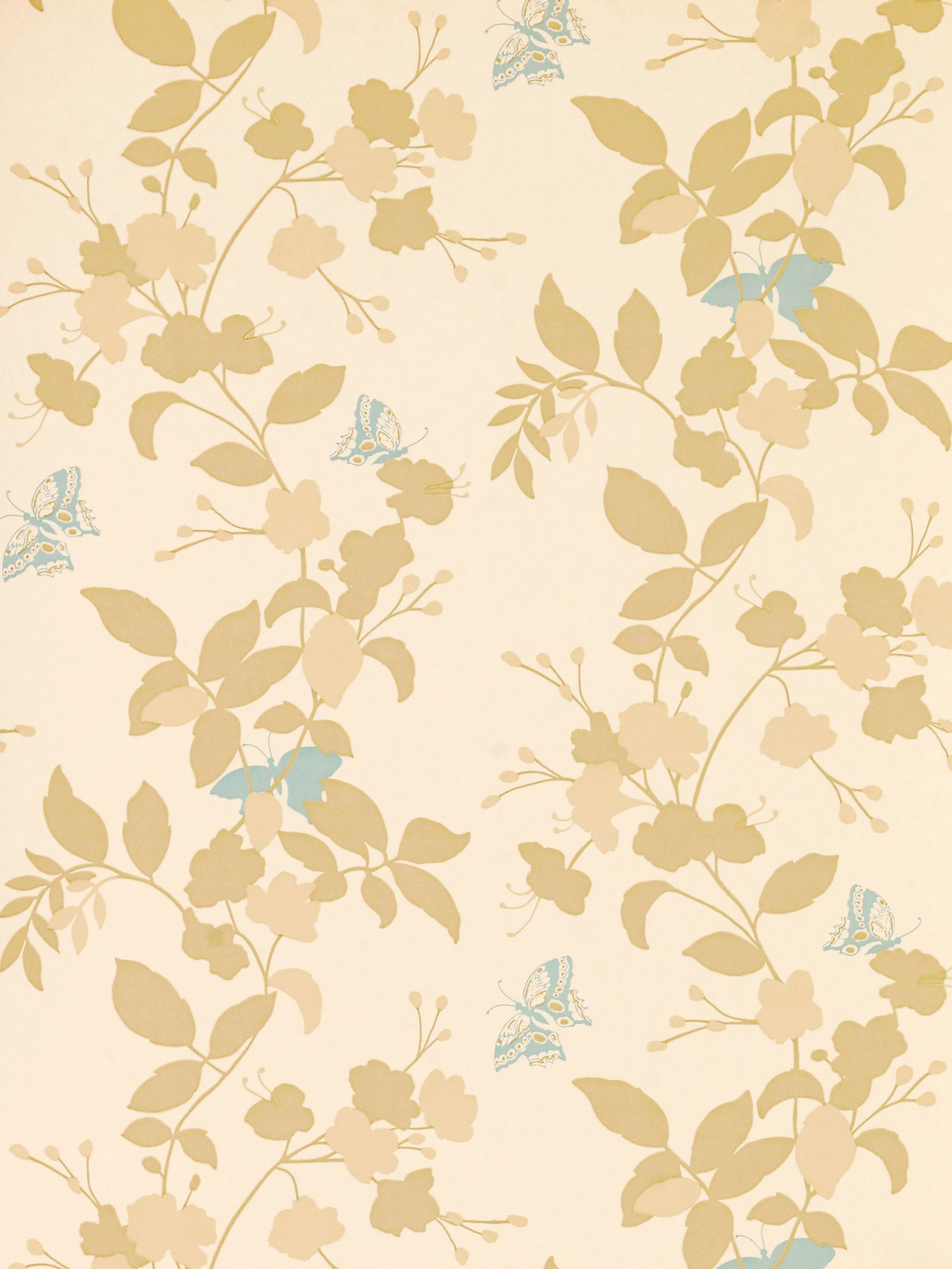 butterfly wallpaper