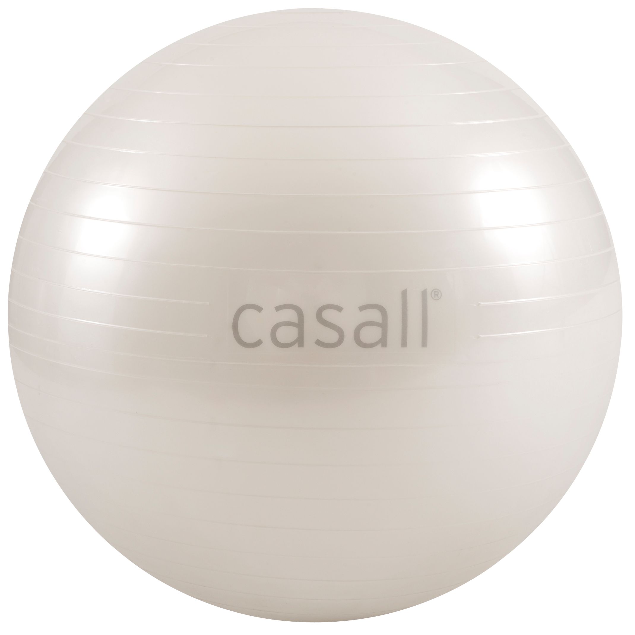 Casall Weighted Gym Ball 2kg