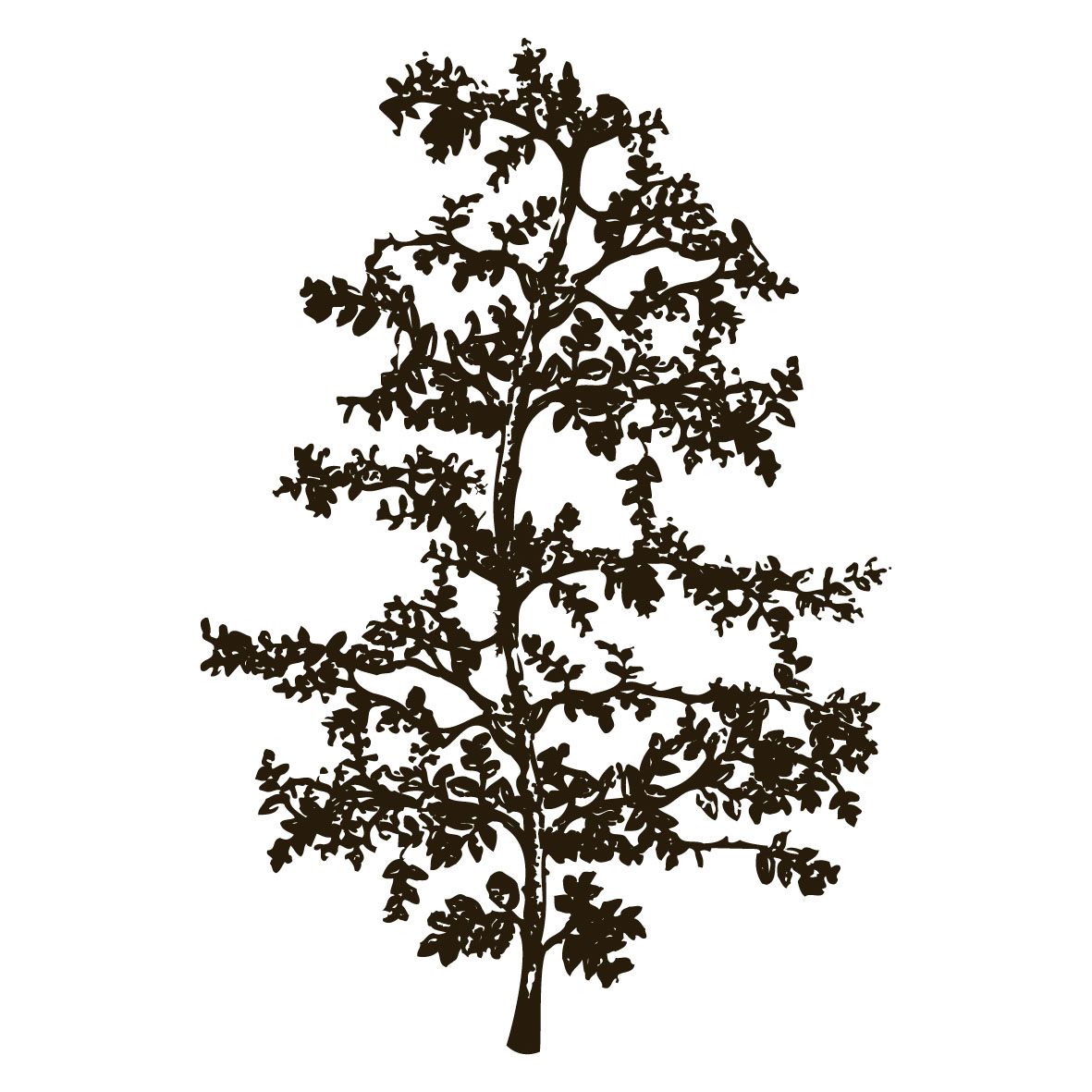 tree silhouette wall decal. Tropical Tree Wall StickerThis