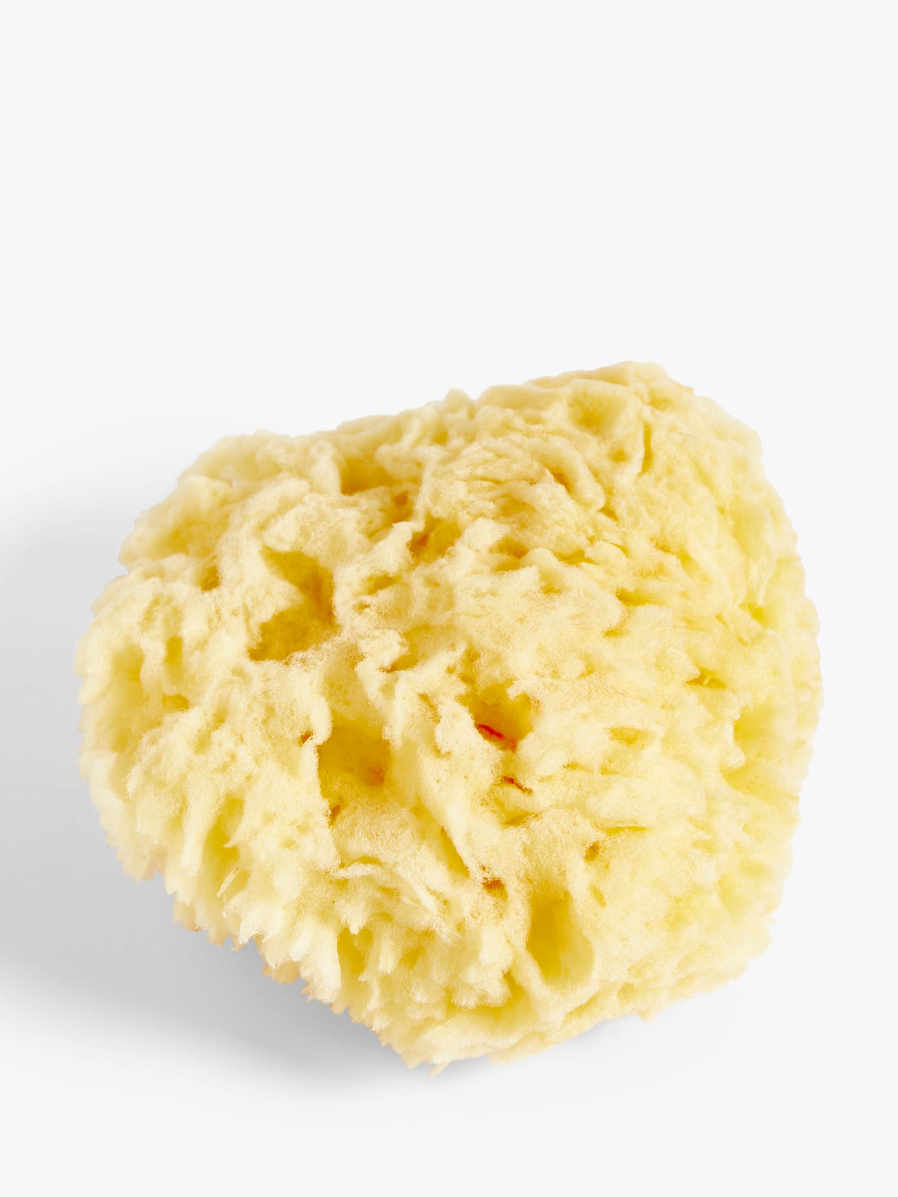 John Lewis Baby Natural Bath Sponge