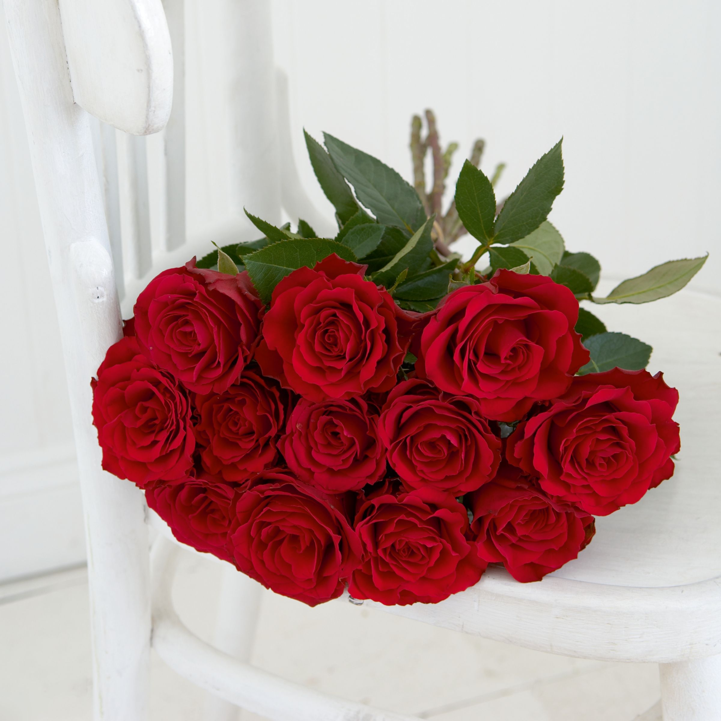 Valentine's Day