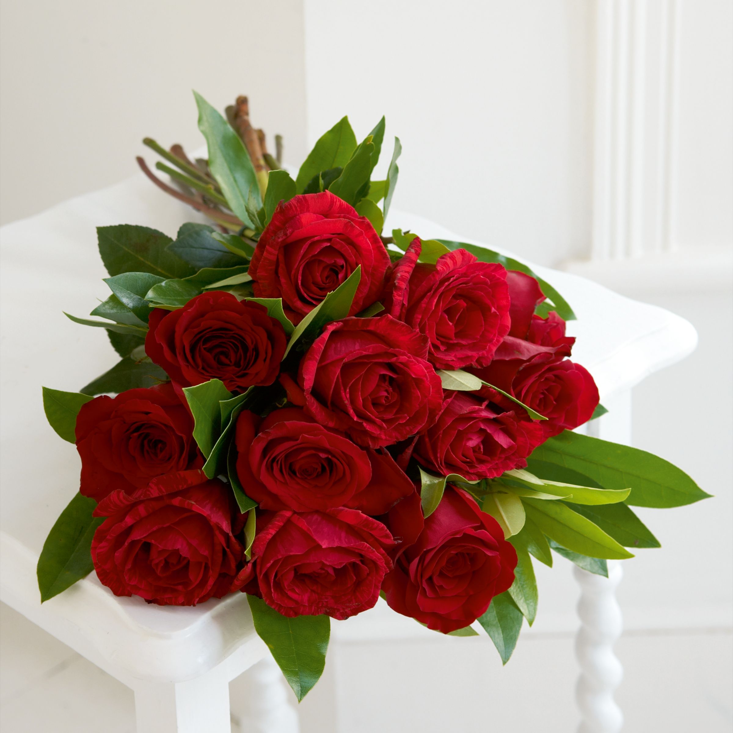 Red Roses