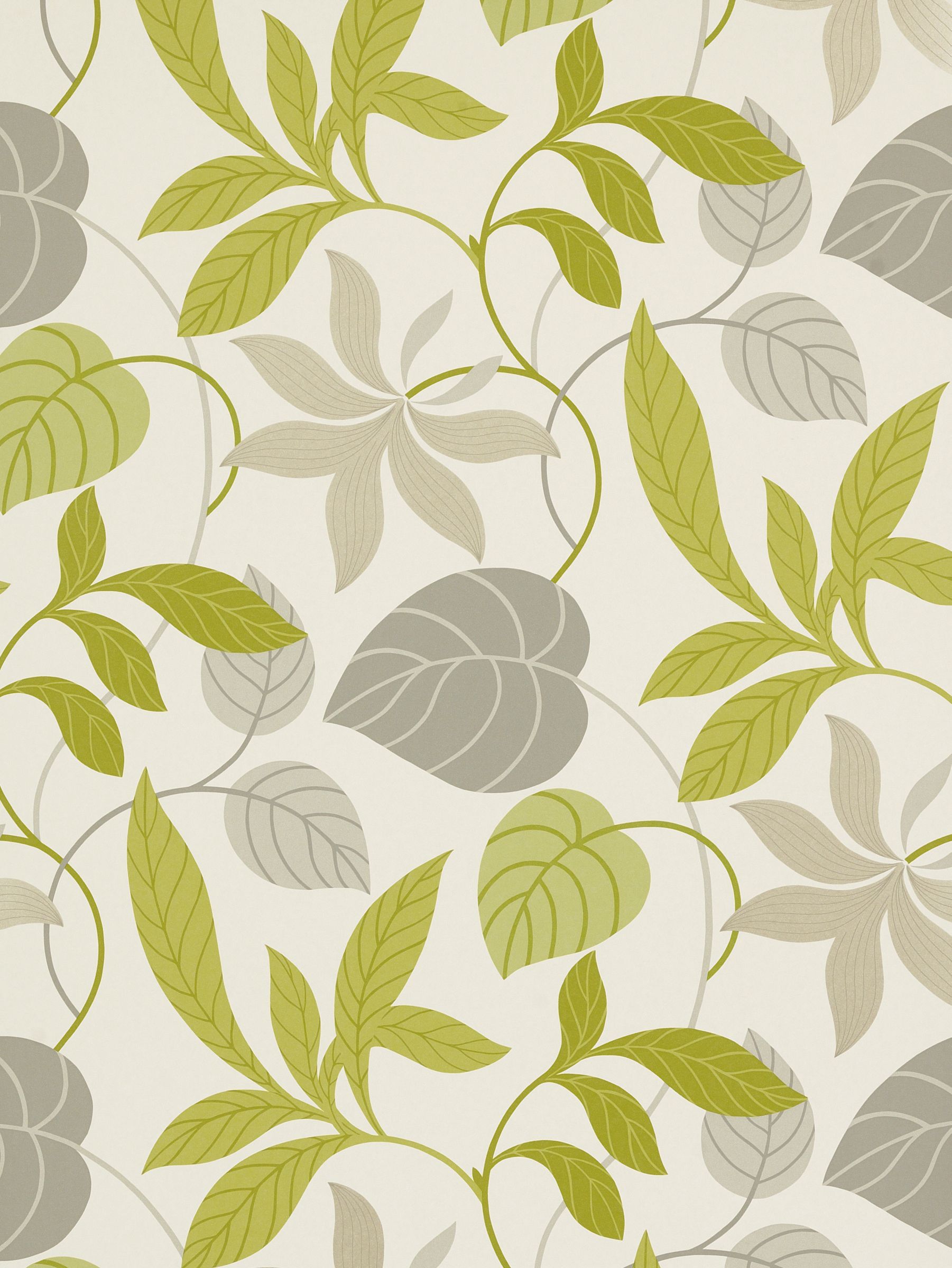 Lime Green Wallpaper on Buy Sanderson Wallpaper  Folia Diowfo102  Lime   Charcoal Online At