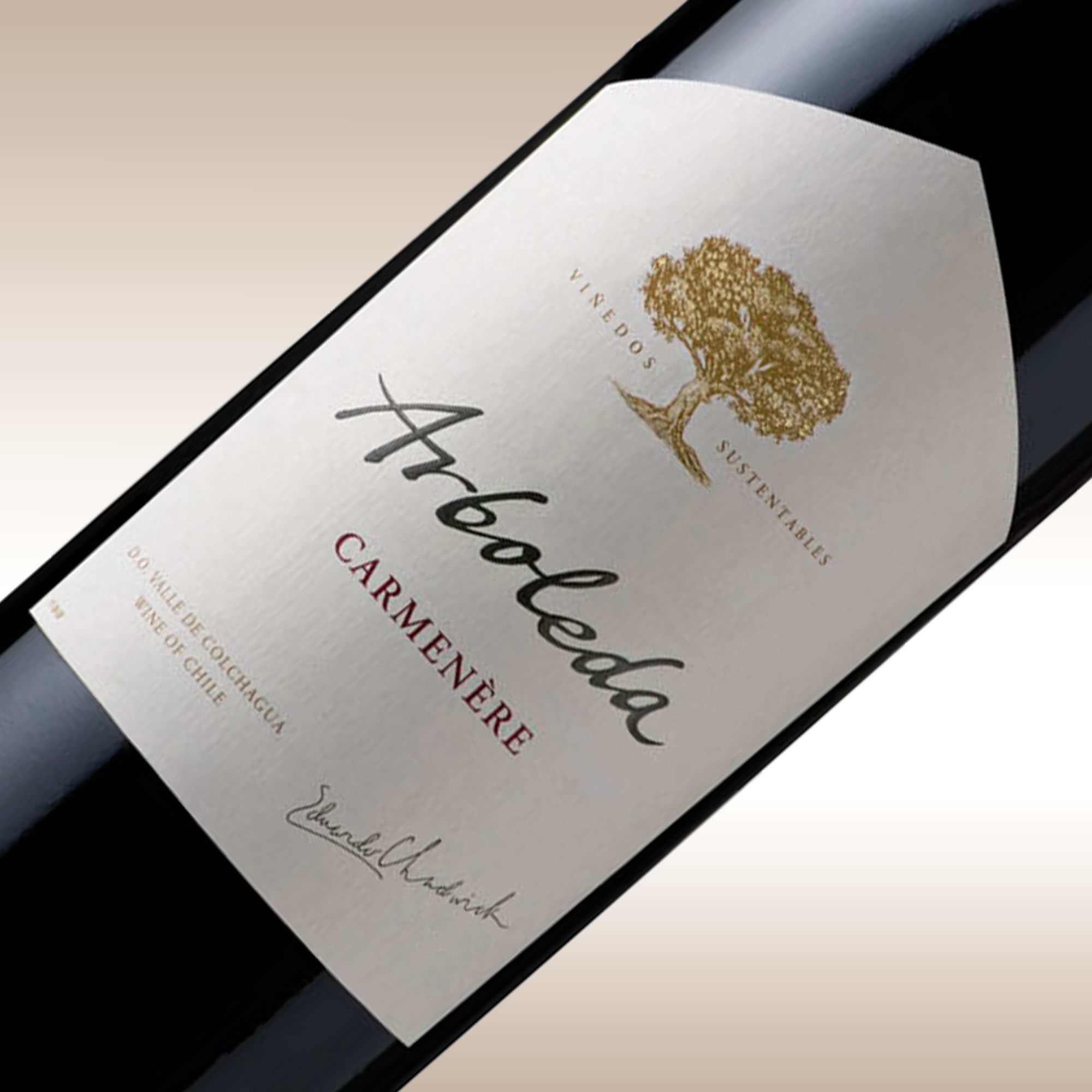Arboleda Carmenère 2008 Colchagua Valley, Chile