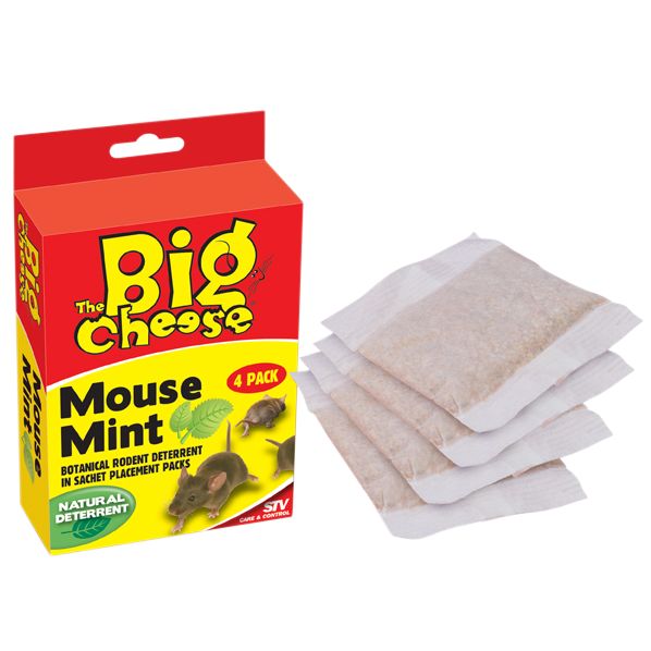 Gotcha Mouse Mint, Pack of 4