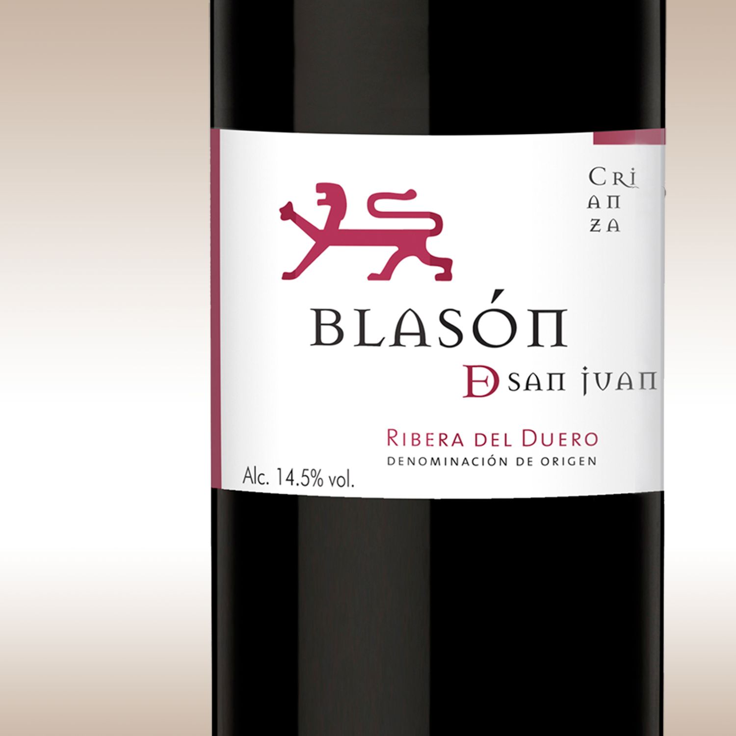 Blasoacuten de San Juan 2007 Crianza Ribera del Duero Spain