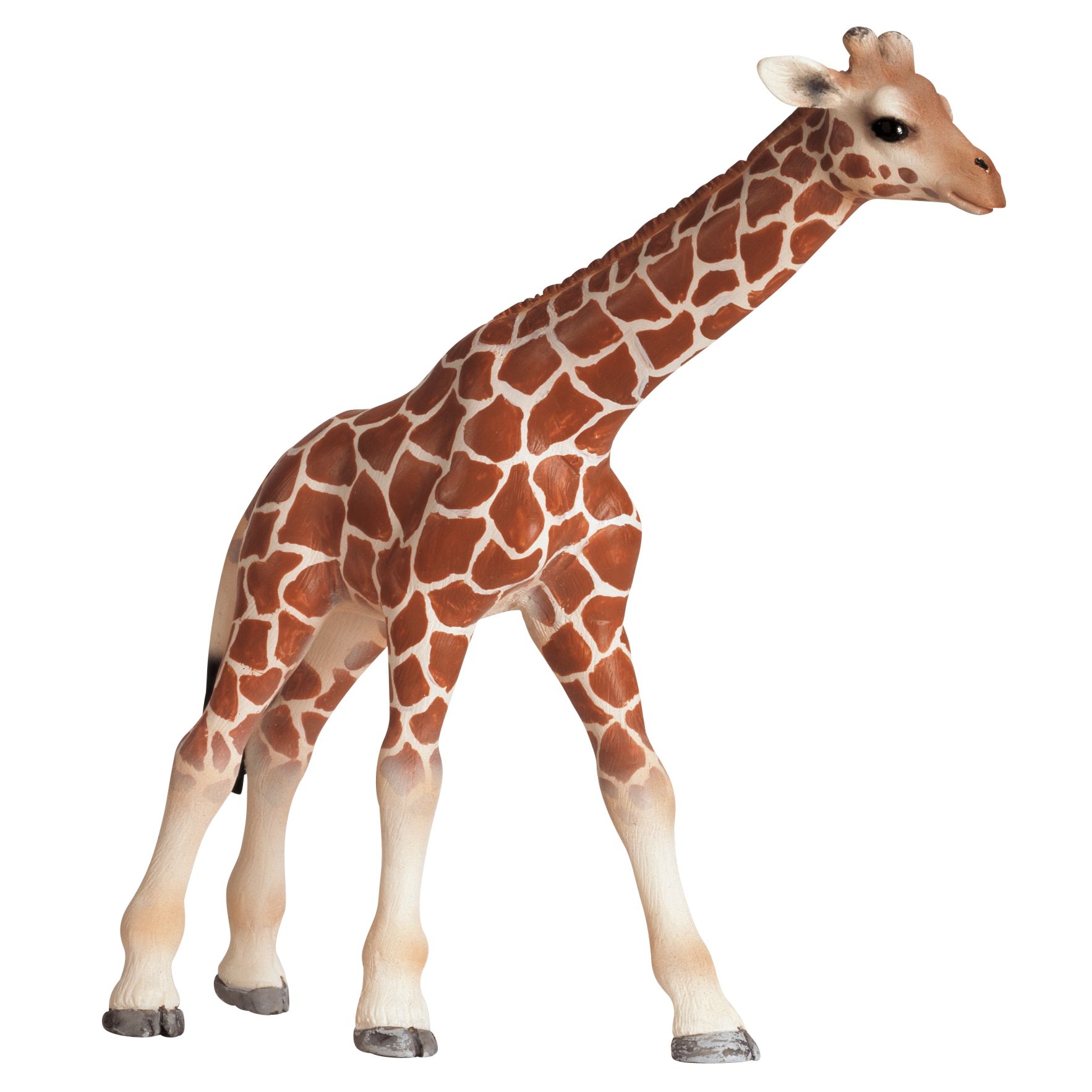 Schleich Wild Animals: Giraffe Calf