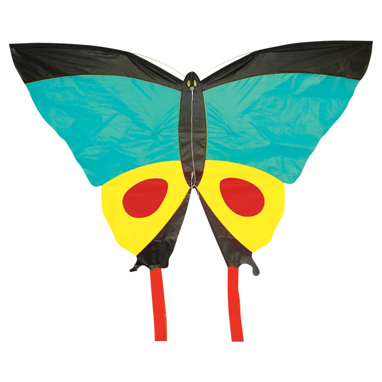 Worlds Apart Butterfly Kite