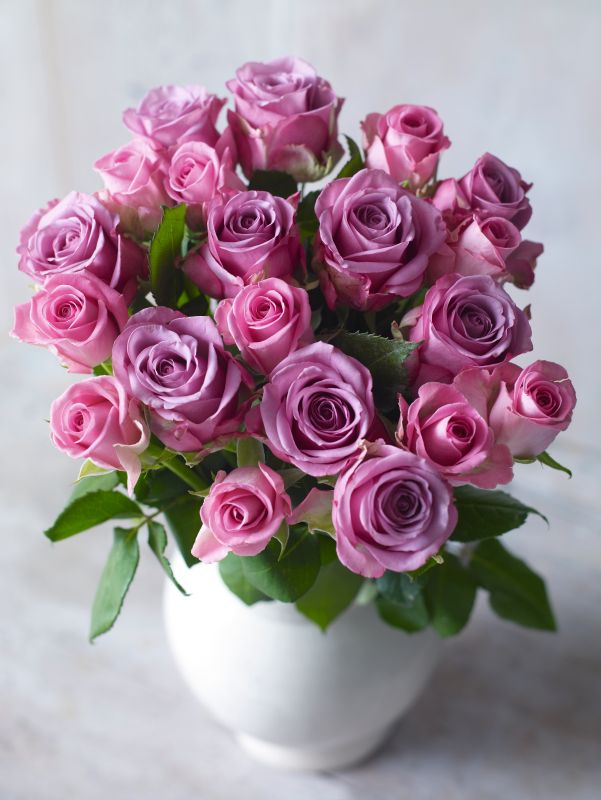 Thornless Roses by Post