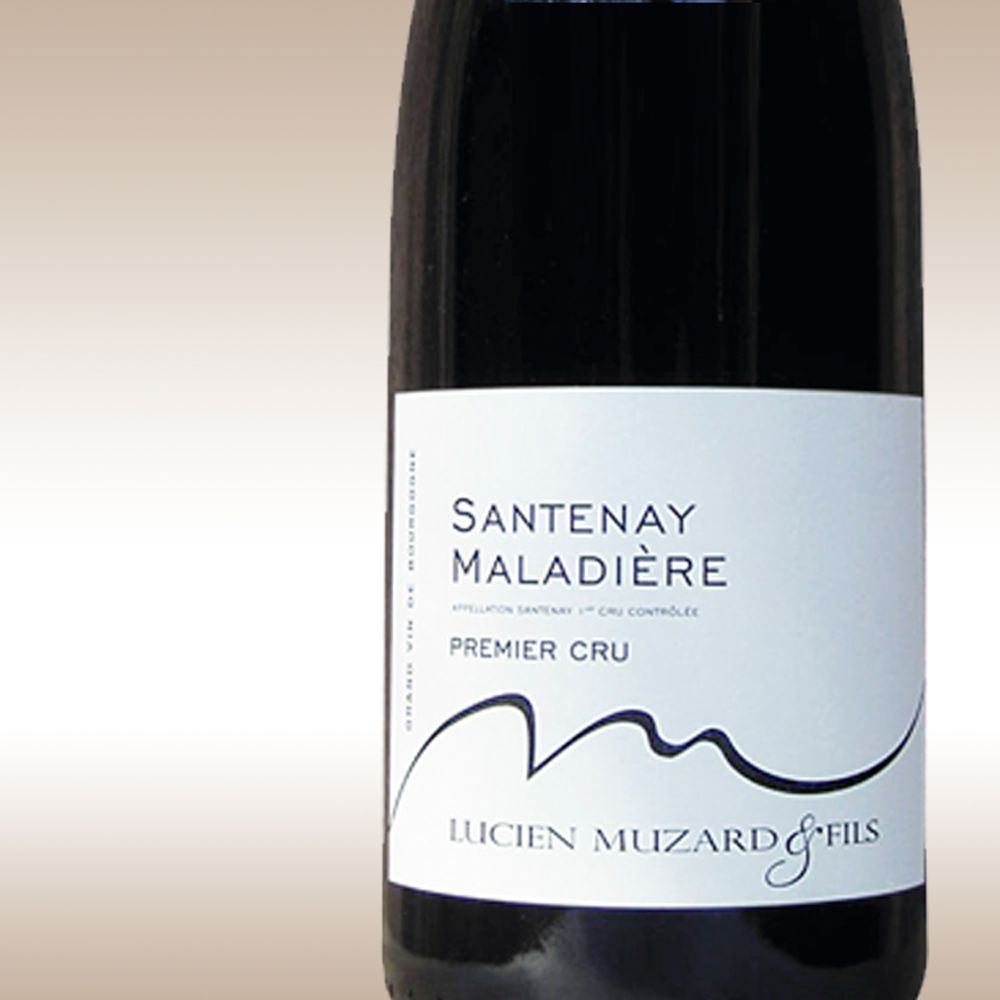 Domaine Lucien Muzard et Fils 2009 Santenay 1er Cru Maladière at JohnLewis