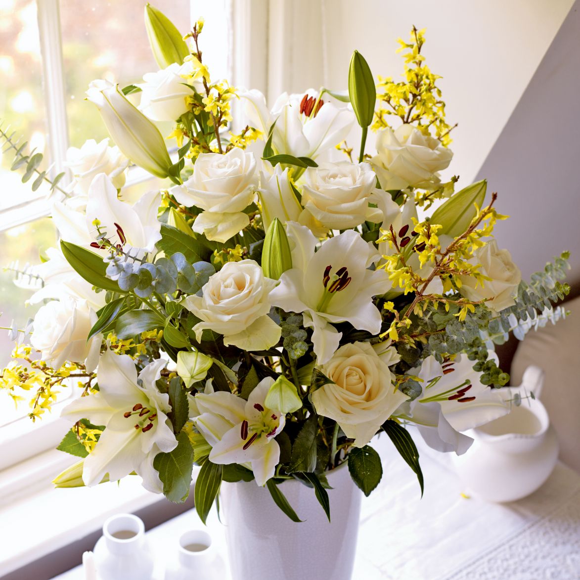 Spring Flowers & Plants