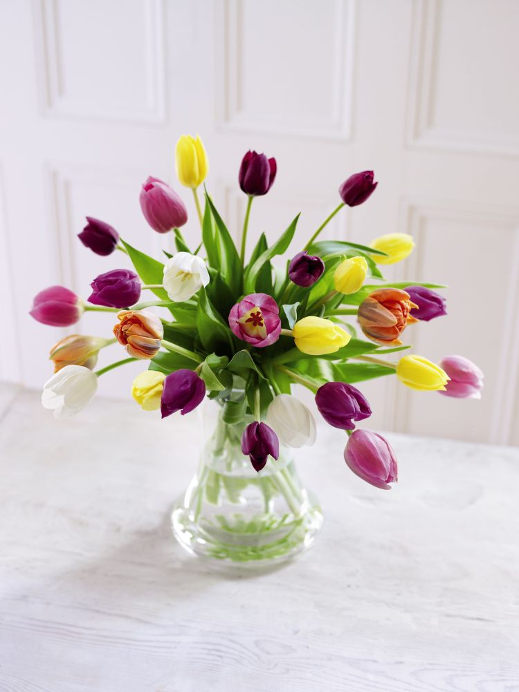 Super British Tulips by Post