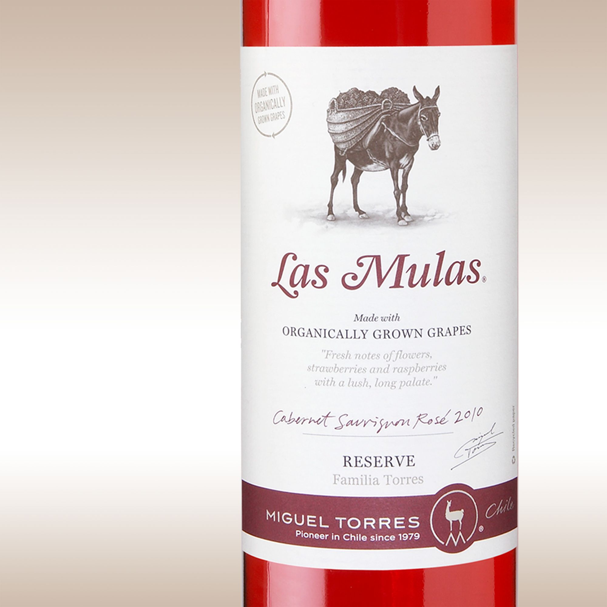 Torres Las Mulas Cabernet Sauvignon Rosé 2010 Central Valley, Chile