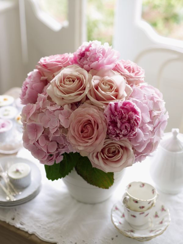 Flowers from John Lewis