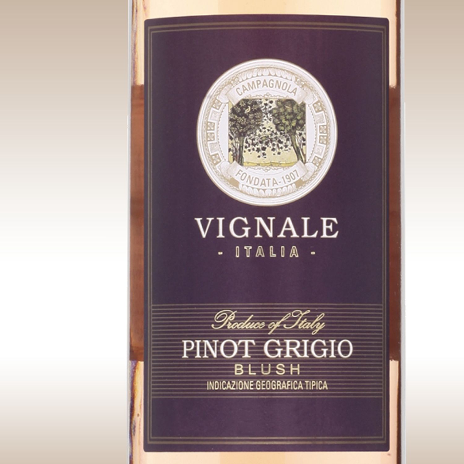 Vignale Pinot Grigio Blush 2010 Veneto, Italy