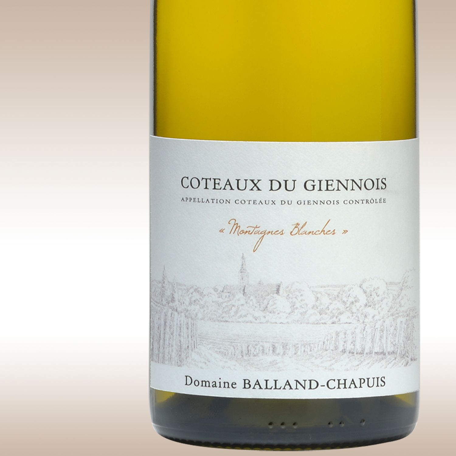 Domaine Balland-Chapuis Montagnes Blanches 2010 Coteaux du Giennois Blanc, Loire, France
