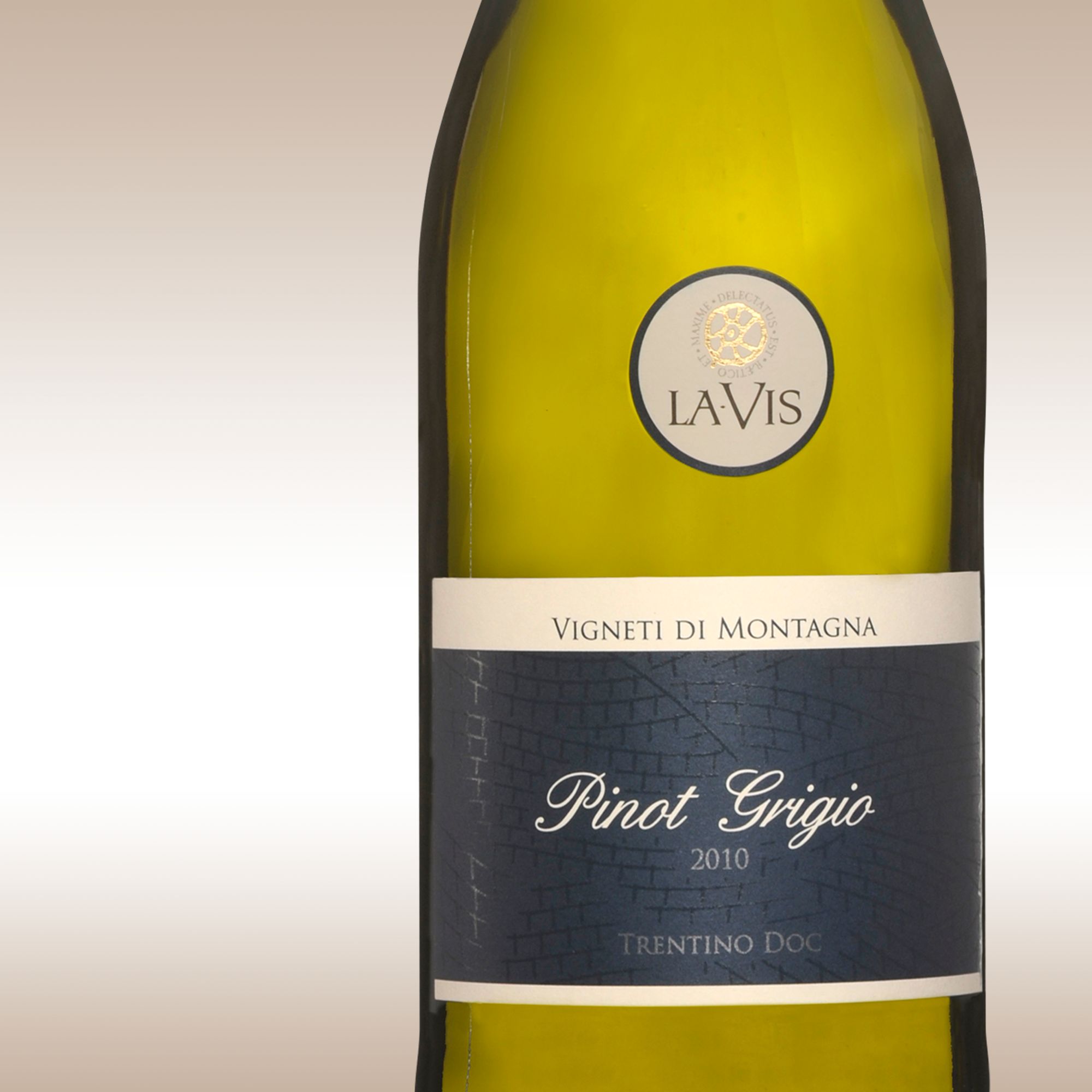 LaVis Vigneti di Montagna Pinot Grigio 2010 Trentino Alto Adige Italy