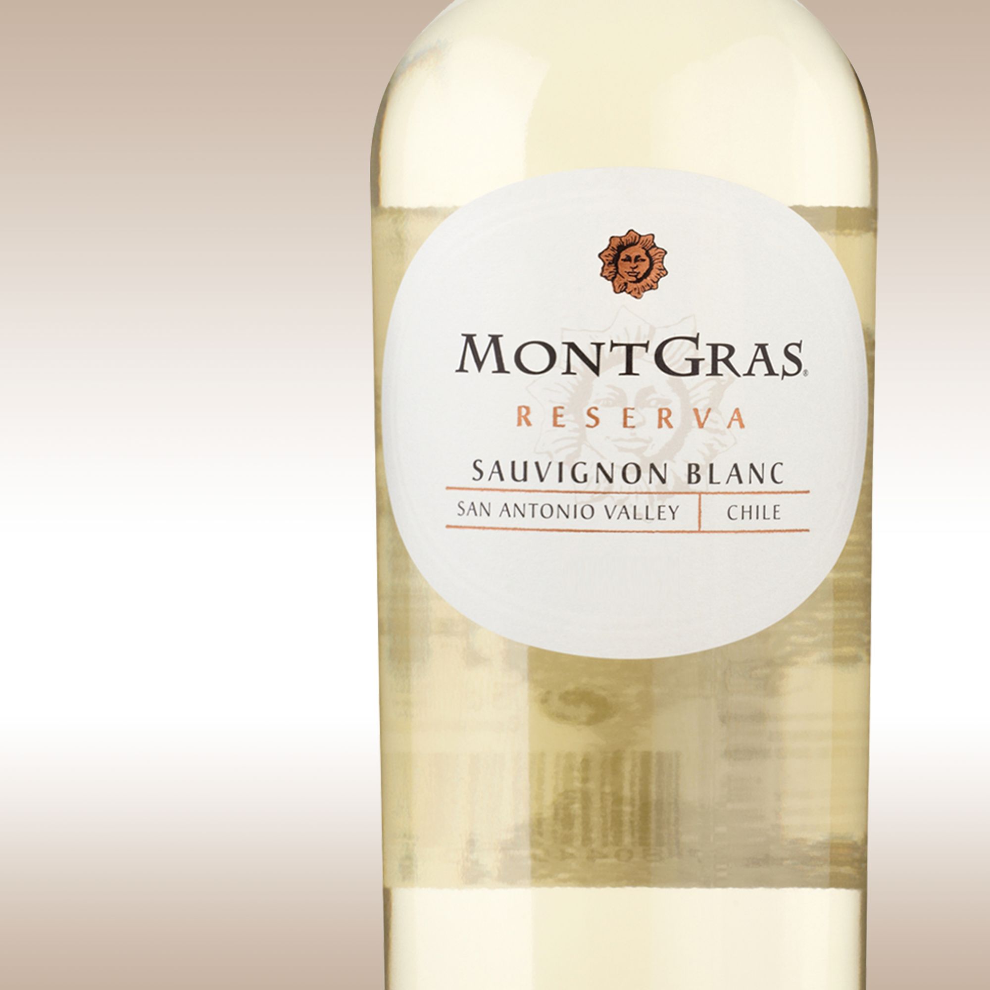MontGras Reserva Sauvignon Blanc 2011 San Antonio, Chile