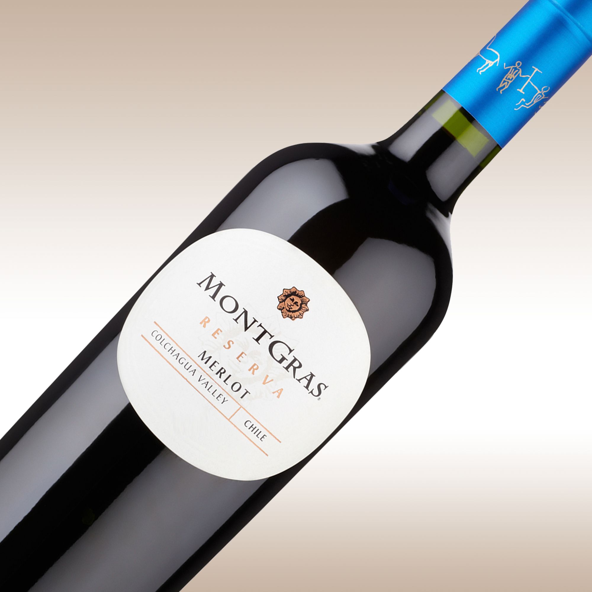 MontGras Reserva Merlot 2010 Colchagua Valley, Chile