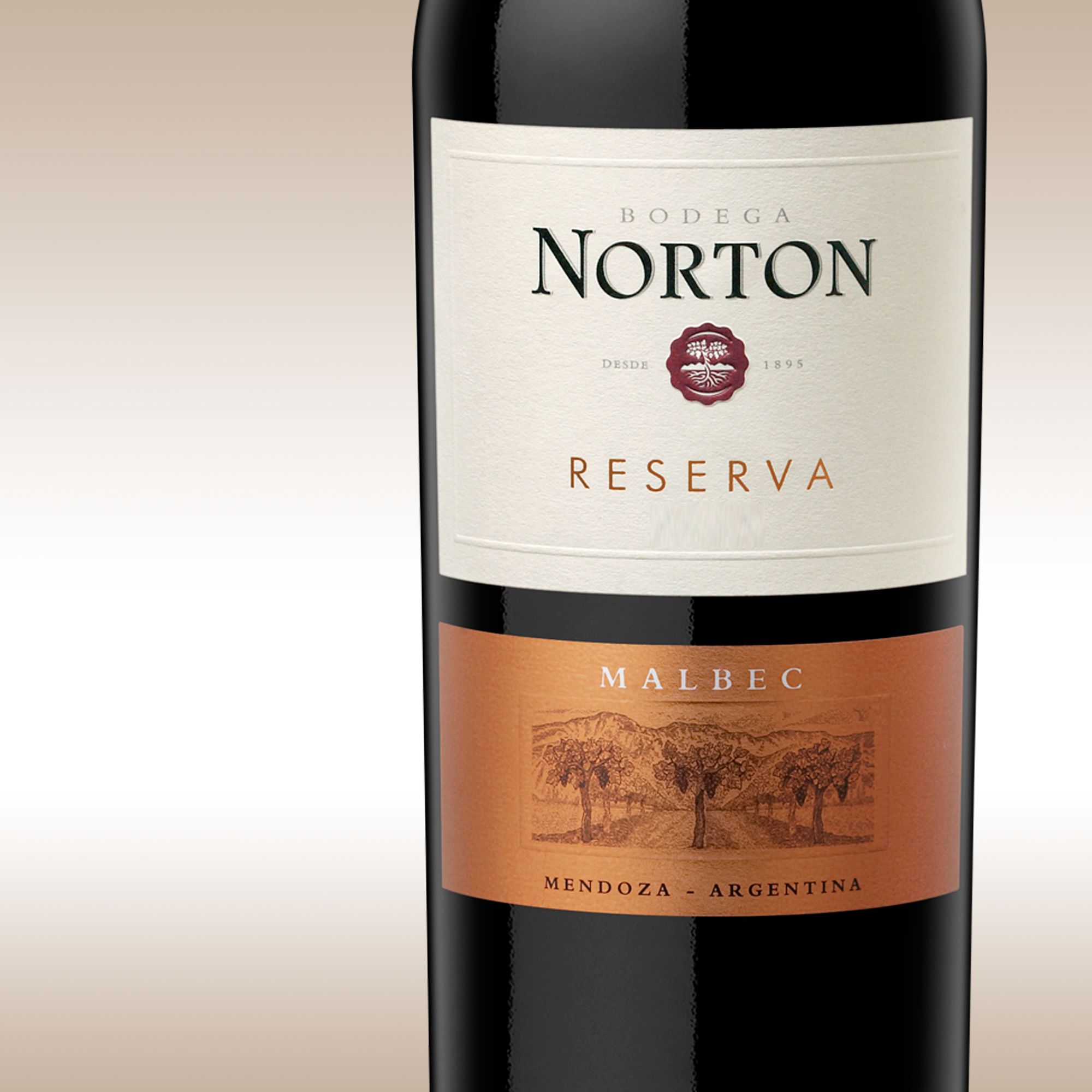 Norton Reserva Malbec 2008/09 Mendoza, Argentina