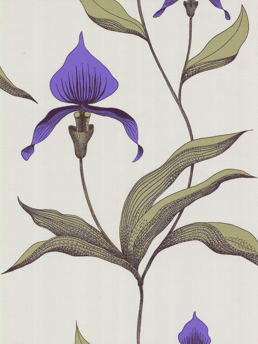 wallpaper violet. Cole and Son Orchid Wallpaper