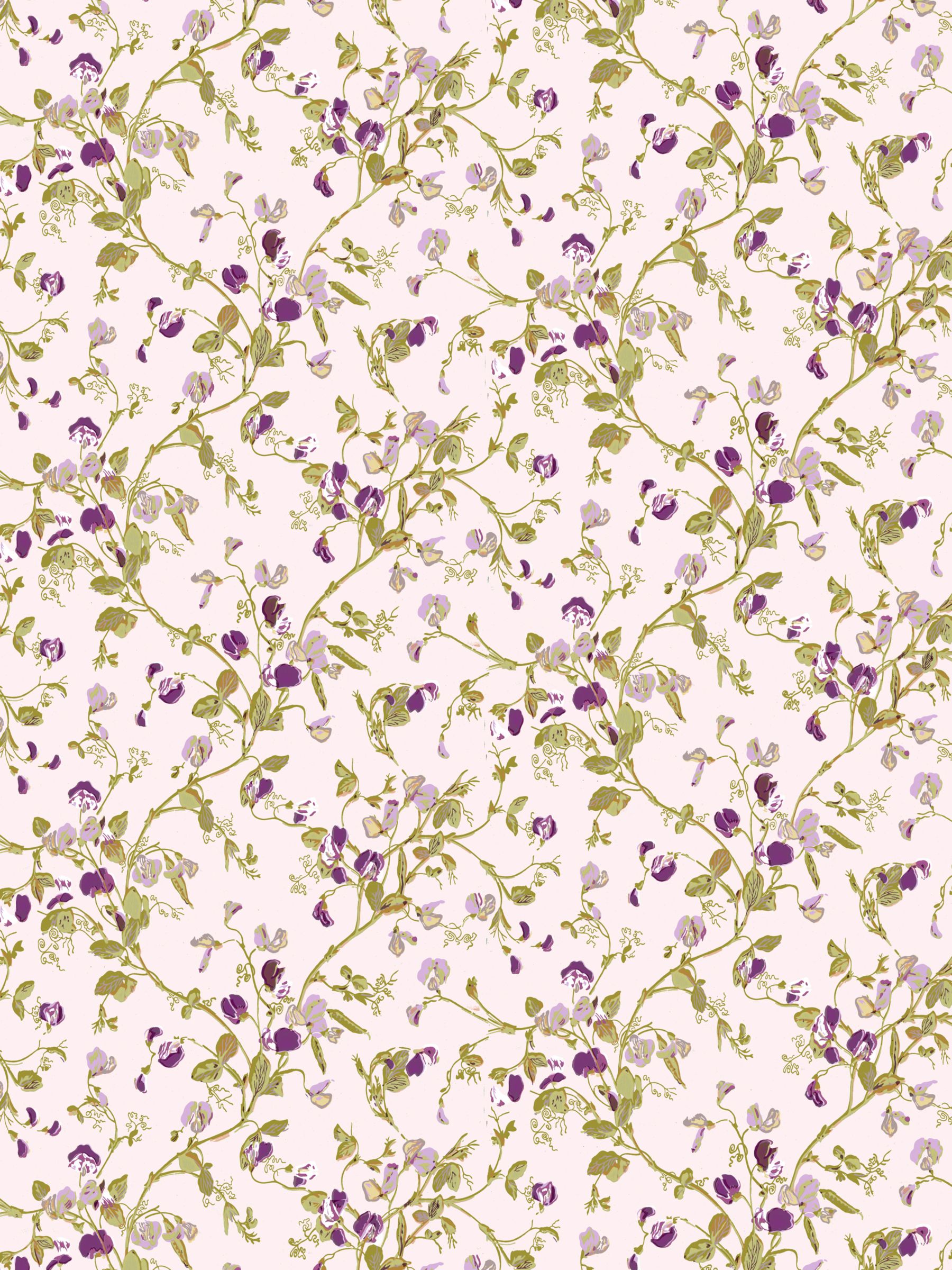 Sweet Babies Wallpapers on Buy Cole   Son Sweet Pea Wallpaper  Mauve  81 11047 Online At