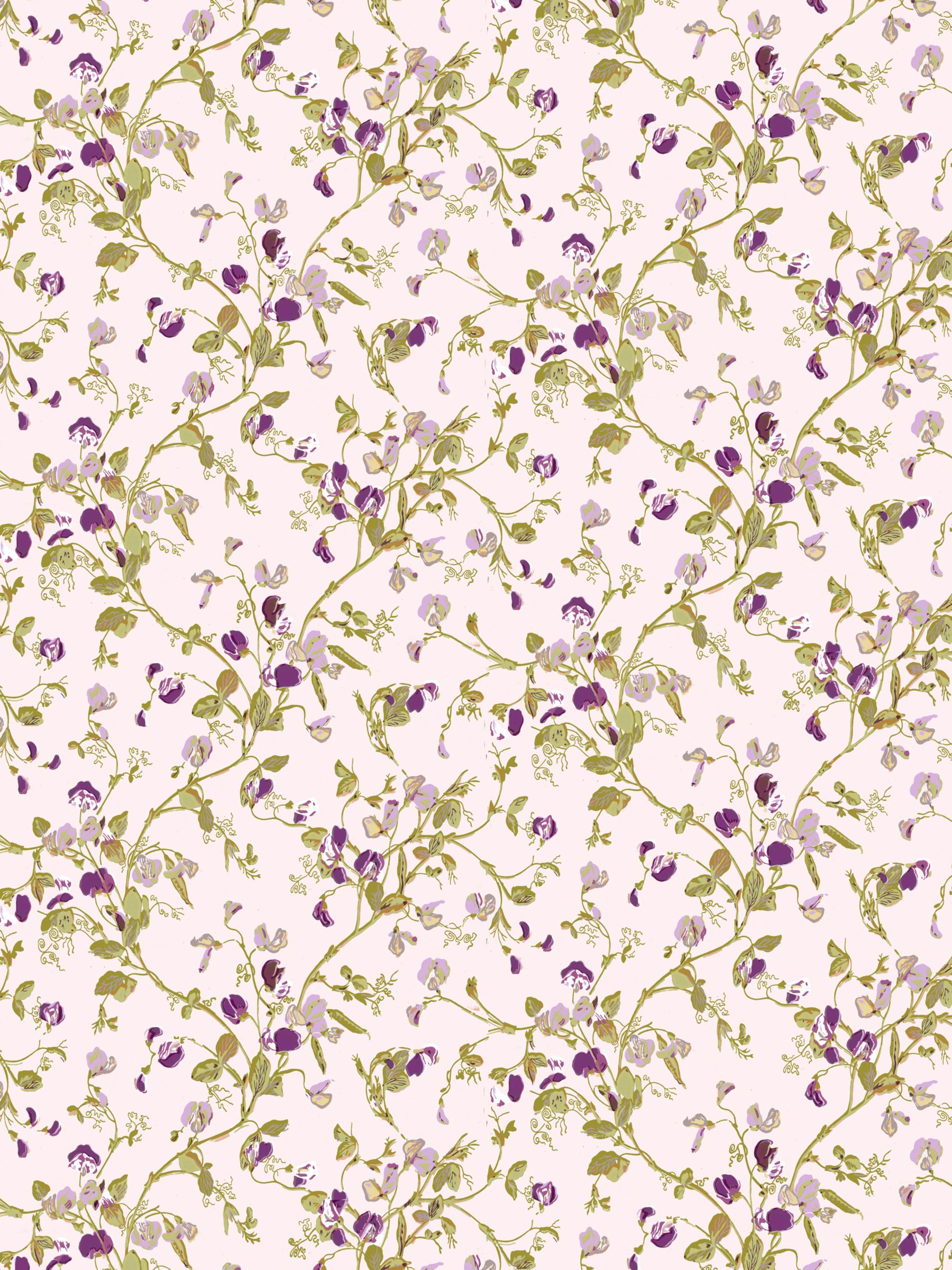 Sweet Babies Wallpaper on Buy Cole   Son Sweet Pea Wallpaper  Mauve  81 11047 Online At