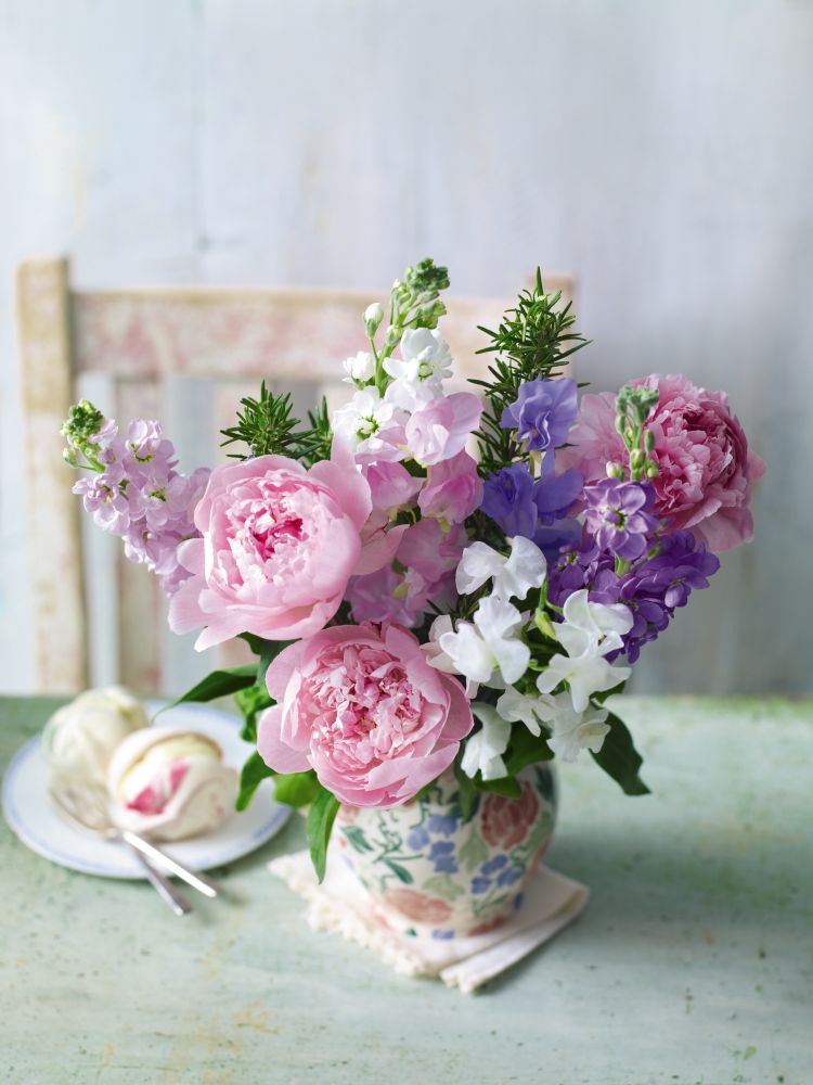 Flowers & Plants