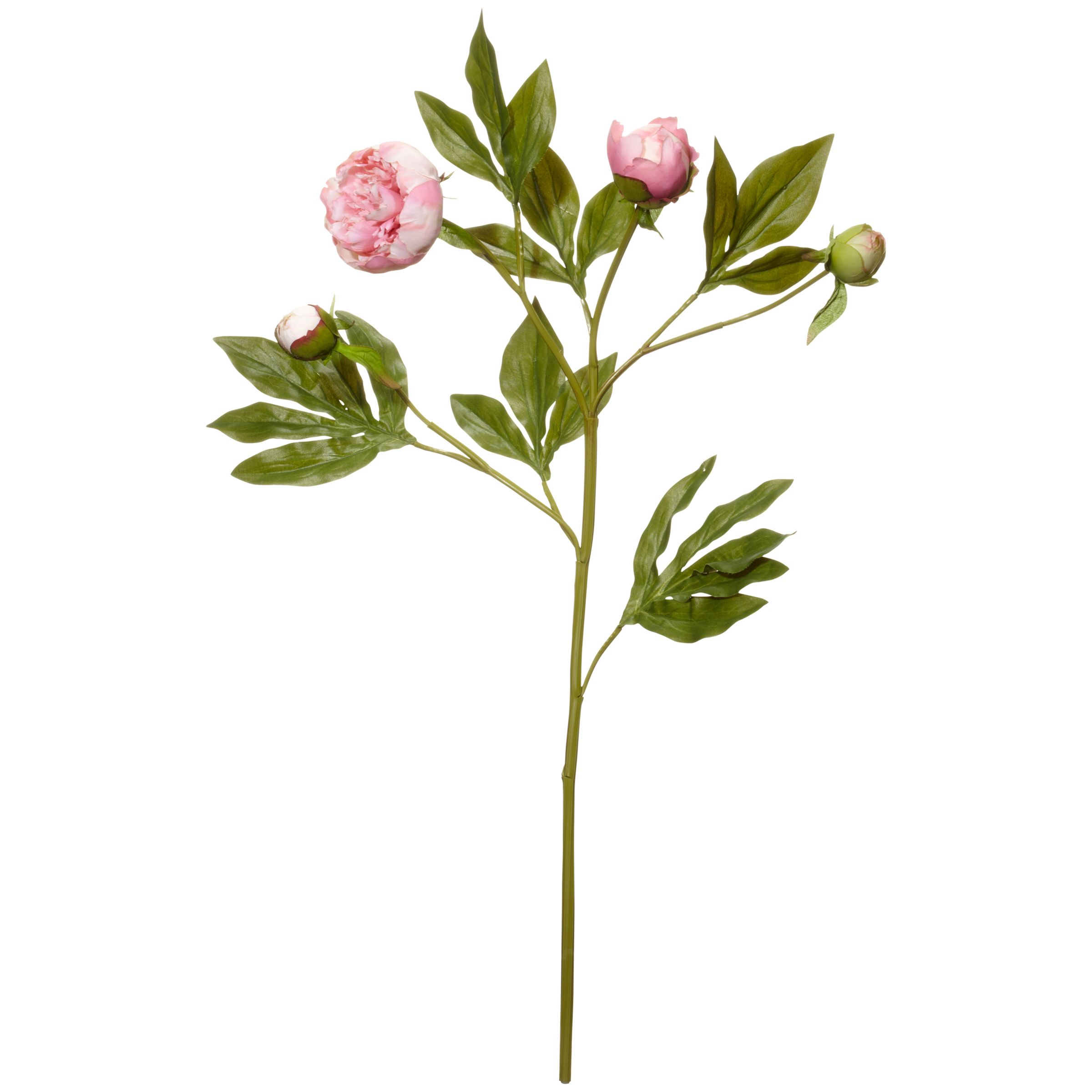 Artificial Flowers & Plants