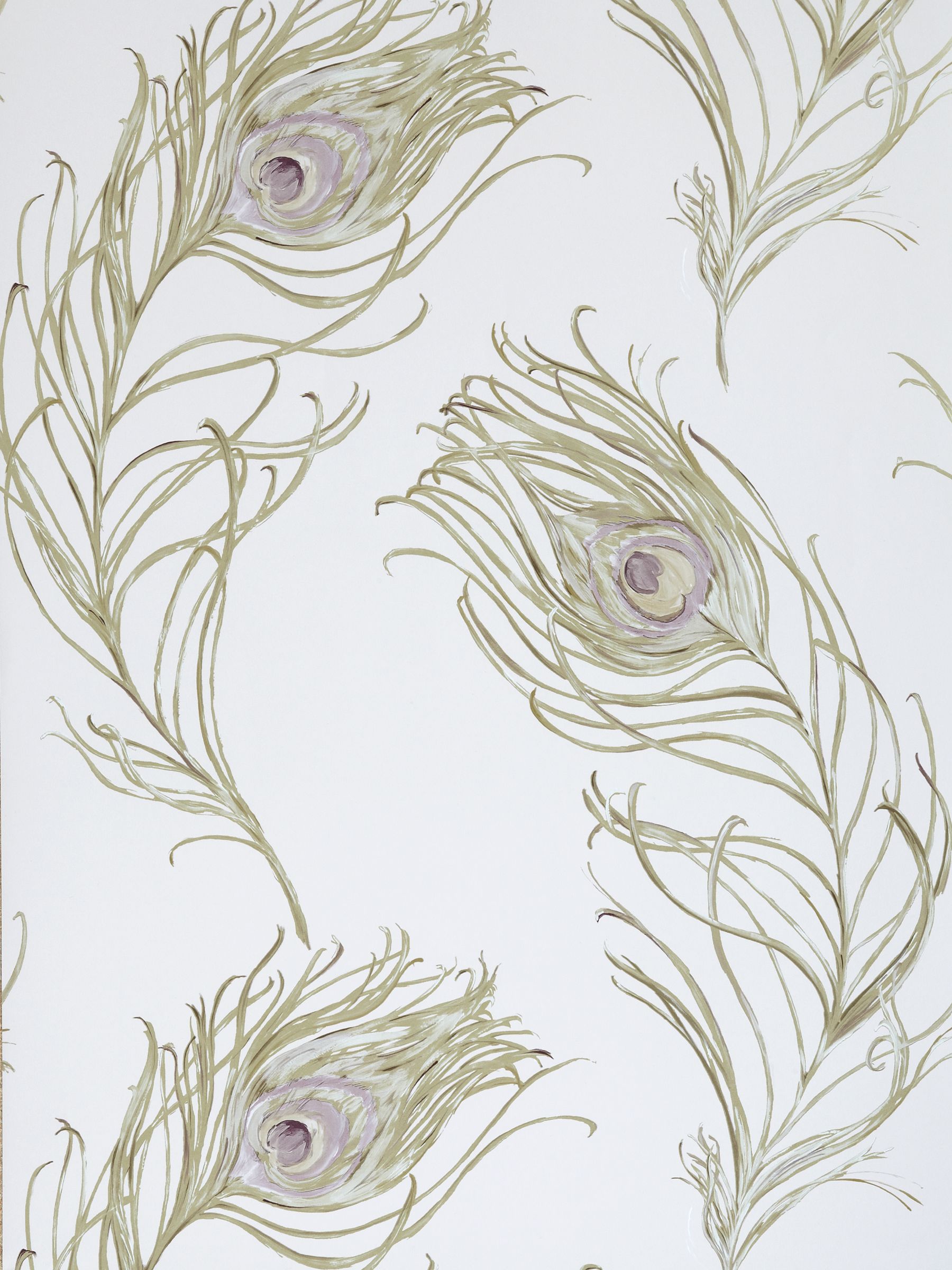 Buy Prestigious Textiles Peacock Wallpaper, Heather, 1938/153 online 